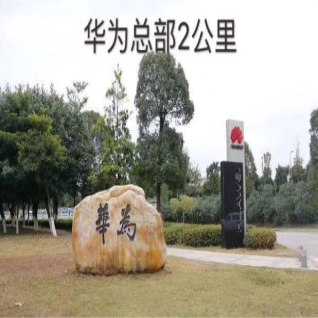 1550146338597087_副本.jpg