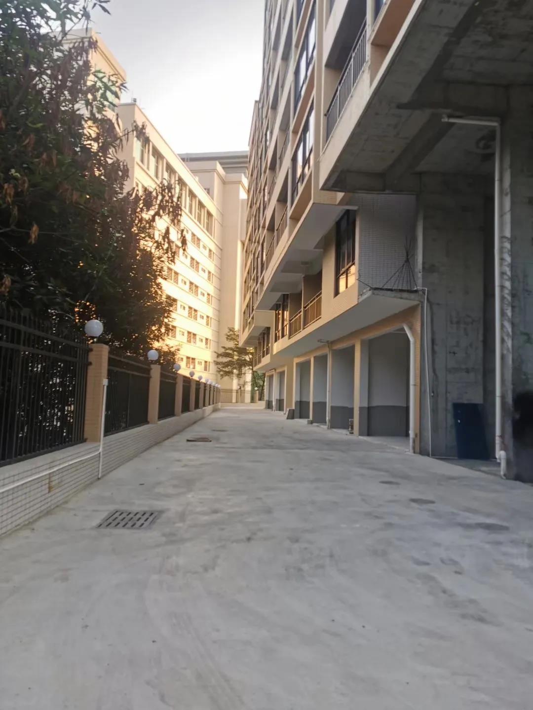 微信图片_20200601235250.jpg
