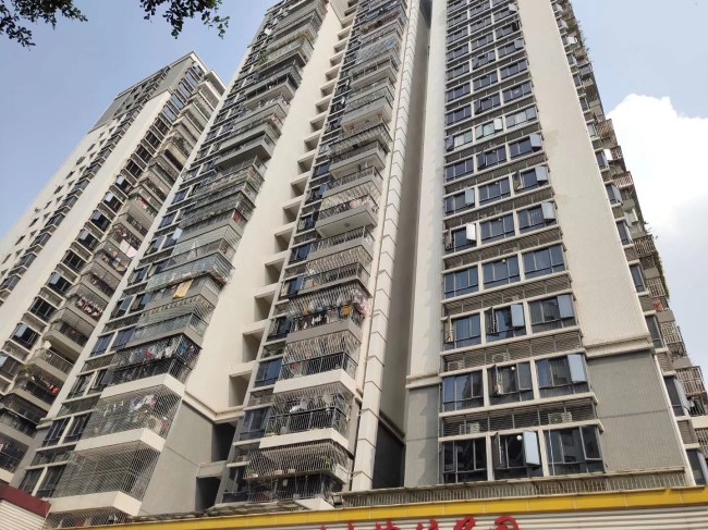 龙华新区龙华清湖地铁口《金湖花园》