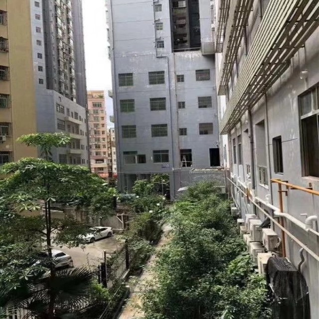 bj-vshop-1024128558-1532137760909-229311765_600_800_副本.jpg