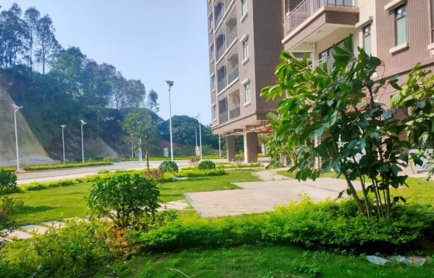 10-210416110453.jpg