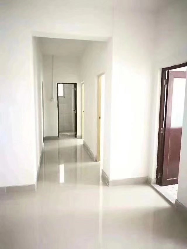 074454q2vxr5xdhdddv6dx.jpg
