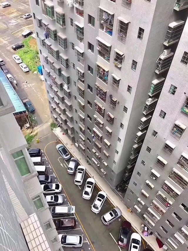 074455e9ryqpsy951zr517.jpg
