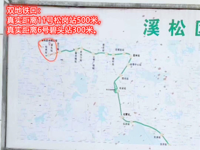 1576473264439794.jpg