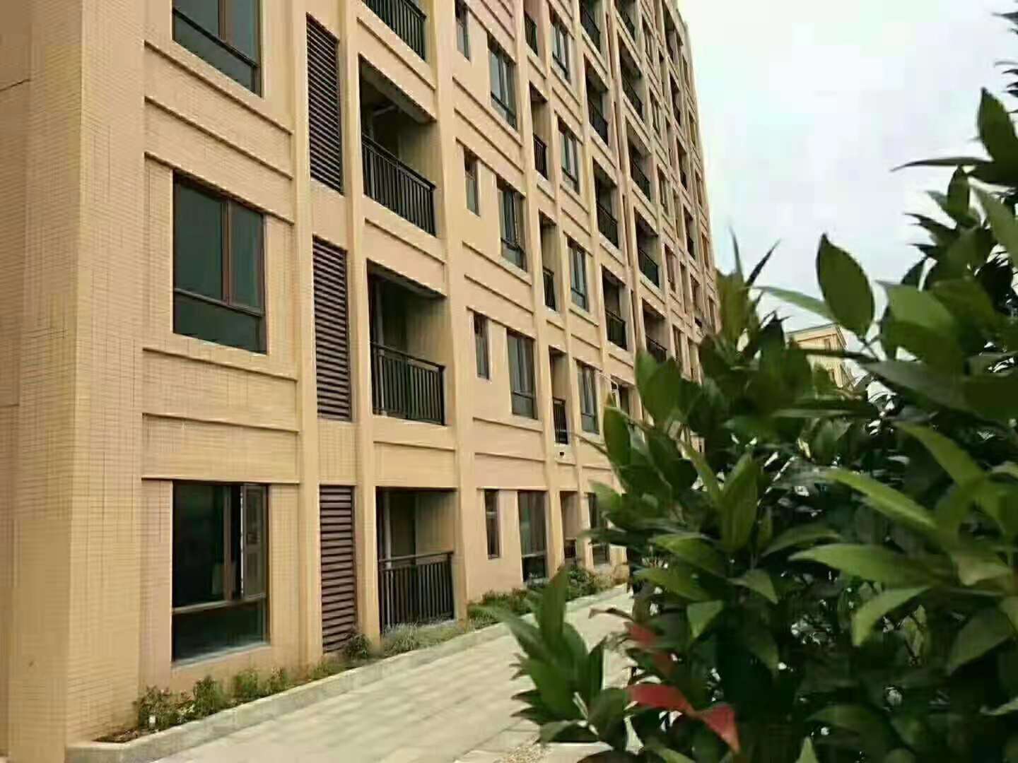 微信图片_20210617104557.jpg