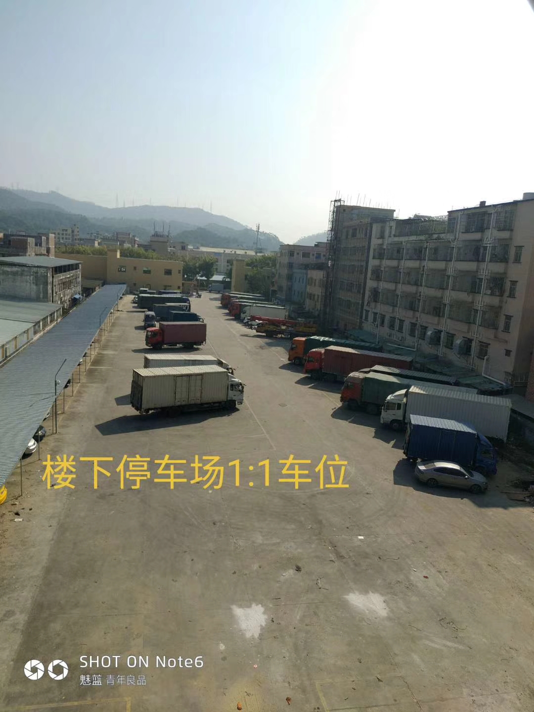 mmexport1543013566043.jpg